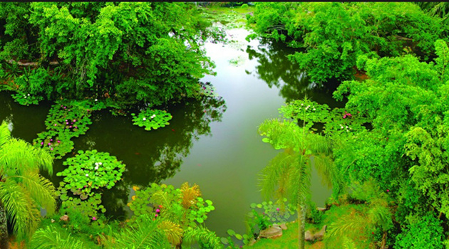 水生植物園